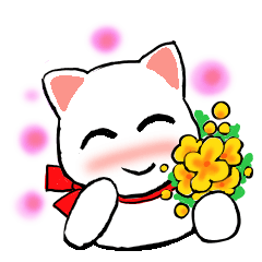 [LINEスタンプ] ハルちゃんちのしろねこ4