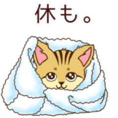 [LINEスタンプ] ゆるスナネコの毎日スタンプ