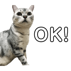 [LINEスタンプ] うにすたんぷぅ2