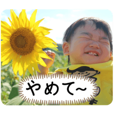 [LINEスタンプ] めいくん特集