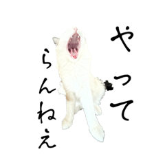 [LINEスタンプ] パニック障害とねこの画像（メイン）