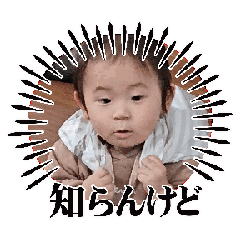 [LINEスタンプ] 動くれんや‼️