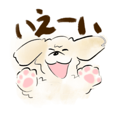 [LINEスタンプ] トイプードルのクリーム20240127