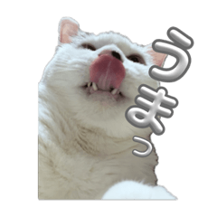 [LINEスタンプ] ぷっちぷー