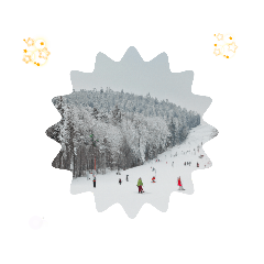 [LINEスタンプ] 高揚感と冒険の舞台スキーリゾートへの憧れ