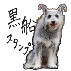 [LINEスタンプ] 黒船(犬)スタンプ