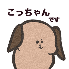 [LINEスタンプ] はじめまして、こっちゃんです。