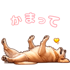 [LINEスタンプ] 愛犬ゴールデンレトリバーといっしょ