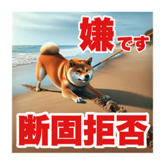 [LINEスタンプ] 柴犬あるあるスタンプ①