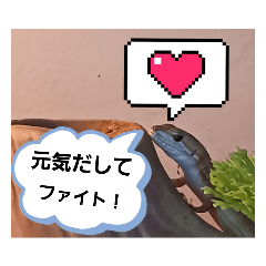 [LINEスタンプ] 家のキュートなペット達2の画像（メイン）