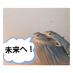 [LINEスタンプ] 家のペット達2