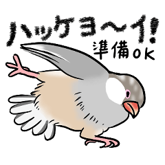 [LINEスタンプ] どすこい文鳥（パステル）