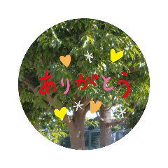 [LINEスタンプ] 探してみたら以外にある植物 スタンプ