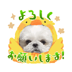 [LINEスタンプ] Lovelyふーちゃん