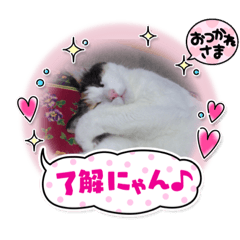 [LINEスタンプ] 仕事で使えるスタンプ集①