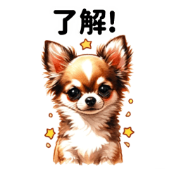 [LINEスタンプ] チワワで伝えよう