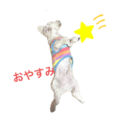 [LINEスタンプ] ここみこの日常①