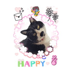 [LINEスタンプ] お花大好きだよの画像（メイン）