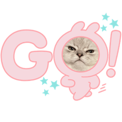 [LINEスタンプ] ぼくLuluくんです！(^⌯ ·̫ ⌯^)