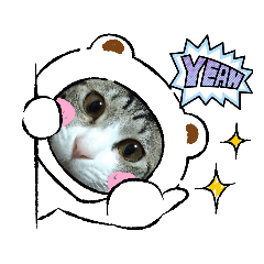 [LINEスタンプ] ねこダイ好き