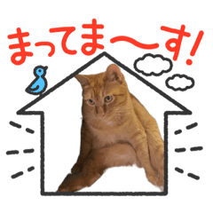 [LINEスタンプ] そらりっと