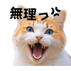 [LINEスタンプ] 可愛いニャン様