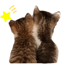 [LINEスタンプ] あいつ、ら