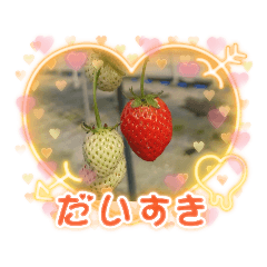 [LINEスタンプ] ハナ 作成1の画像（メイン）