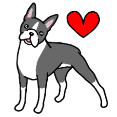 [LINEスタンプ] 犬種別ボストンテリア(英語Ver)