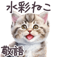 [LINEスタンプ] 敬語 水彩 猫 ブリティッシュショートヘアの画像（メイン）