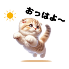 [LINEスタンプ] ふわもこスコティッシュ 挨拶編