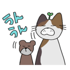 [LINEスタンプ] ねこのにゃちじょー