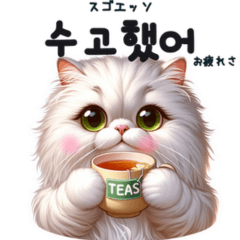 [LINEスタンプ] ペルシャ猫の韓国語のハングルスタンプ