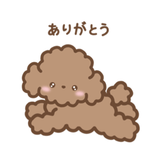 [LINEスタンプ] トイプードルのれあ