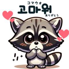 [LINEスタンプ] アライグマの韓国語ハングルスタンプ