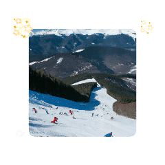 [LINEスタンプ] 雪山の誘惑、スキーリゾートで自分を試そう