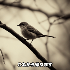 [LINEスタンプ] 鳥のあいさつ1