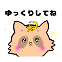 [LINEスタンプ] 推し活たぬき[星回る]／日常で使える