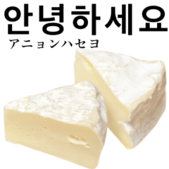 [LINEスタンプ] カマンベールチーズ 韓国語の画像（メイン）