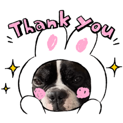 [LINEスタンプ] はんぺんさんちのブルちゃん5