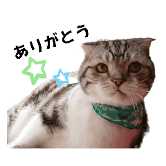 [LINEスタンプ] ソラとレオの
