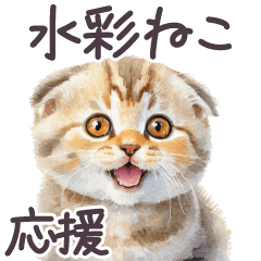 [LINEスタンプ] 応援 水彩 子猫 スコティッシュフォールドの画像（メイン）