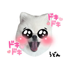 [LINEスタンプ] うどんくん1