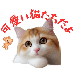 [LINEスタンプ] 猫幸せ応援キャンペーン 第2弾