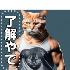 [LINEスタンプ] 【筋肉ねこ】マッチョすぎる猫・関西弁の画像（メイン）