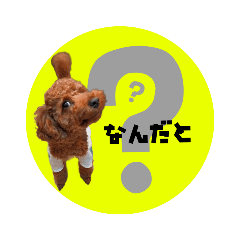 [LINEスタンプ] カラフルわんこスタンプ