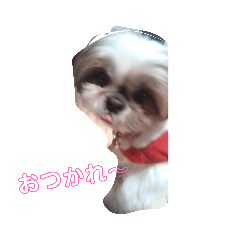 [LINEスタンプ] ころわんわんわんスタンプ