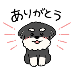 [LINEスタンプ] シュナウザーゆるかわスタンプ