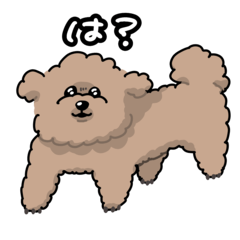 [LINEスタンプ] 高圧的トイプー