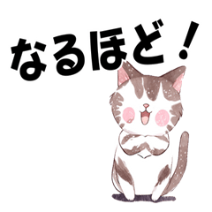 [LINEスタンプ] かわいい猫の日常のあいさつ。